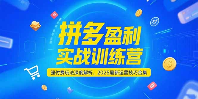 拼多多盈利实战训练营，强付费玩法深度解析，2025运营技巧合集-更新6月-悟空聊项目