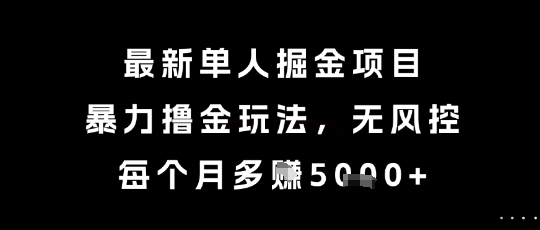 最新单人掘金项目，暴力撸金玩法，无风控，每个月多挣5k+【揭秘】-悟空聊项目