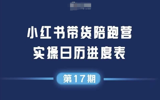 小红书第17期带货陪跑营，不囤货，无不直播，无不投流，通过选品+笔记内容+测品+笔记铺量+矩阵运营打爆款-悟空聊项目