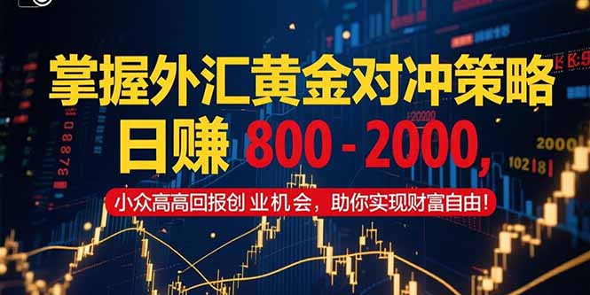 掌握外汇黄金对冲策略，日赚 800 – 2000，小众高回报创业机会，助你实…-悟空聊项目