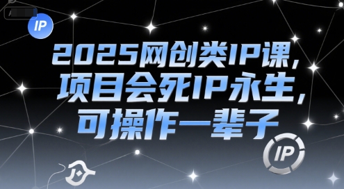 2025网创类IP课，项目会死IP永生，可操作一辈子-悟空聊项目