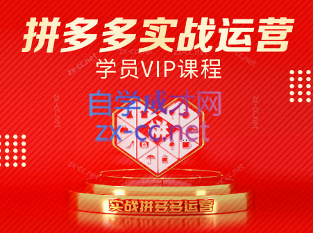 推易电商·拼多多实战运营课(更新2025月)-悟空聊项目