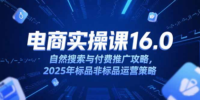 淘宝电商运营课16.0，自然搜索与付费推广攻略，2025年标品非标品运营策略-悟空聊项目