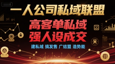 一人公司私域联盟，高客单私域，强人设成交，建私域 搞发售 广结盟 造势能-悟空聊项目