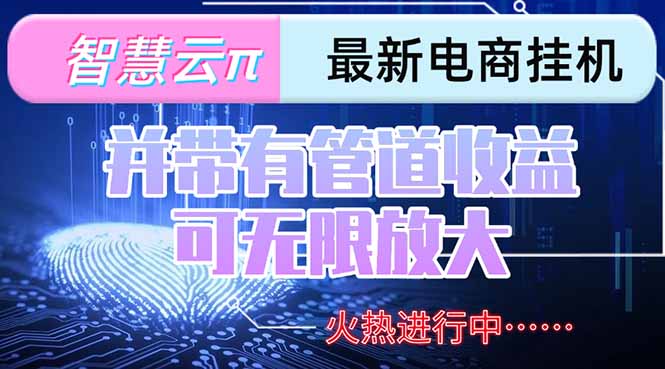 智慧云π电脑挂机单机每天收益300—500+ 并带有团队管道收益 可无限放大-悟空聊项目