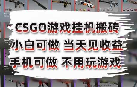 CSGO游戏挂G搬砖，小白纯手机即可操作，不用电脑打游戏，日入3张+，副业网创项目【揭秘】-悟空聊项目