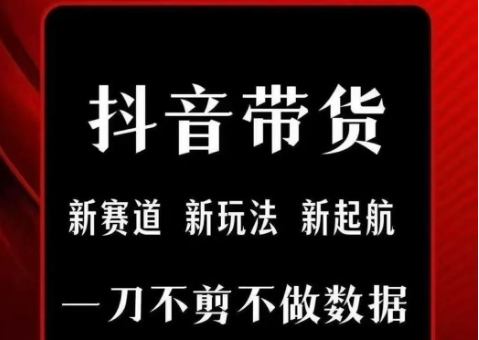 抖音短视频一刀不剪带货，不剪辑，不直播，每天发个视频，等着出单获取带货佣金-悟空聊项目
