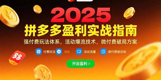 拼多多盈利实战指南，强付费玩法，活动爆流技术，微付费破局方案(更新7月-悟空聊项目