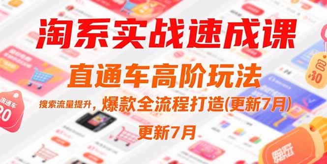 淘系实战速成课，直通车高阶玩法，搜索流量提升，爆款全流程打造(更新7月-悟空聊项目