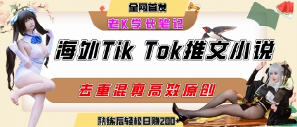 海外tiktok小说推文暴力项目，高停留率，高转化率，上手后一天搞顿饭钱不是问题-悟空聊项目