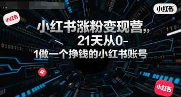 小红书涨粉变现营，21天从0-1做一个挣钱的小红书账号-悟空聊项目