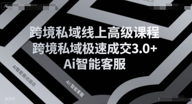 跨境私域线上高级课程，跨境私域极速成交3.0+Ai智能客服-悟空聊项目