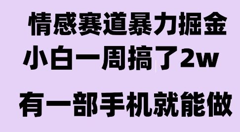 情感暴力掘金项目，新人操作一周挣了2W，长期稳定小白可做【揭秘】-悟空聊项目