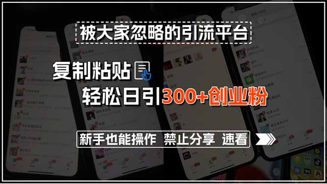 被大家忽略的引流平台，复制粘贴轻松日引300+创业粉，新手也能操作，禁…-悟空聊项目