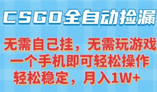 CSGO自动捡漏项目，最新独家玩法，一个手机可操作，新手小白轻松月入1W+，操作简单易上手【揭秘】-悟空聊项目