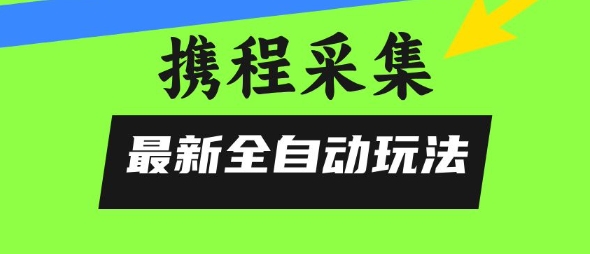 携程信息采集全自动玩法，0风控，无脑开干【揭秘】-悟空聊项目