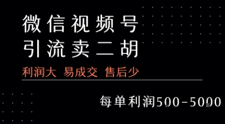 视频号卖二胡教程，利润大 易成交 售后少，一单利润5张+-悟空聊项目