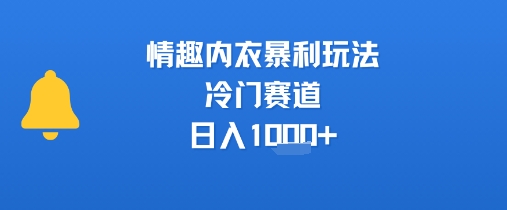 情趣内衣暴利玩法，冷门赛道，日入1k+-悟空聊项目