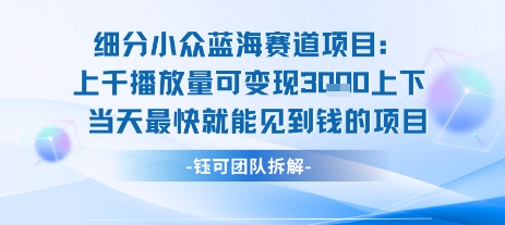 小众蓝海赛道项目：当天变现1k+适合新手操作 +适合长期玩-悟空聊项目