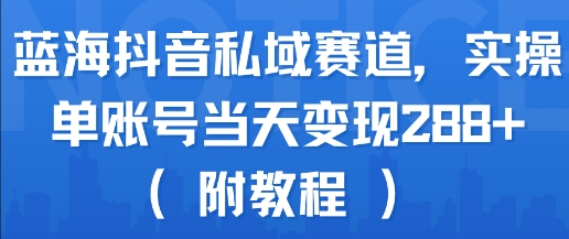 蓝海抖音私域赛道，实操单账号当天变现288+(附教程)-悟空聊项目
