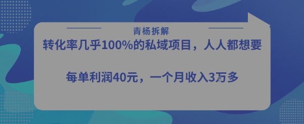 转化率最高的私域项目，每单利润40-50米，月入过1w-悟空聊项目