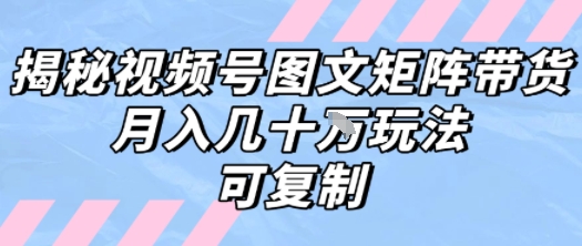解密视频号图文矩阵带货，月入几个W的打法，可复制-悟空聊项目