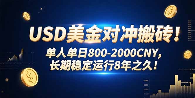 USD美金对冲搬砖!单人单日800-2000CNY，长期稳定运行8年之久!-悟空聊项目