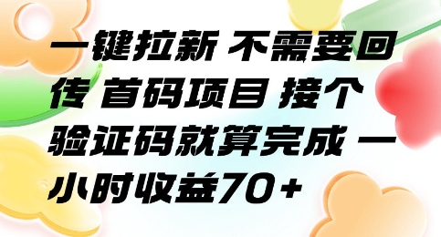 一键拉新 不需要回传 首码项目 接个验证码就算完成 一小时收益70+【揭秘】-悟空聊项目