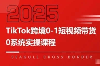 TikTok跨境0-1短视频带货，系统拆解TikTok跨境带货全链路，实现跨境可持续盈利-悟空聊项目