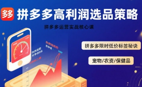拼多多选品暴利技术实战课，拼多多高利润选品策略，拼多多限时低价标签秘诀-悟空聊项目