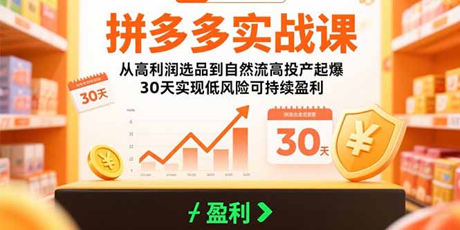 拼多多实战课：从高利润选品到自然流高投产起爆 30天实现低风险可持续盈利-悟空聊项目