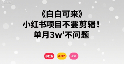 小白可来 小红书项目不需要剪辑 单月3w不是问题-悟空聊项目