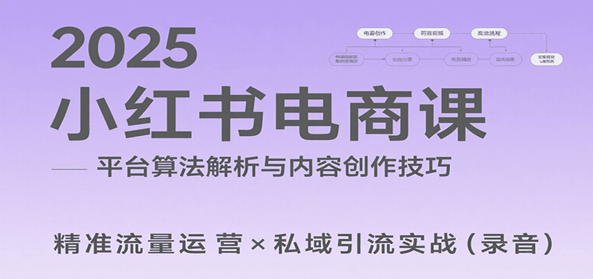 2025小红书电商课：解析算法，创作高转化内容，助力卖家获取流量实现变现(录音)-悟空聊项目
