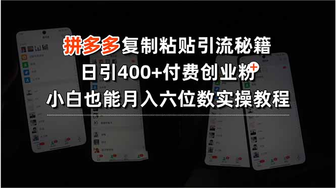 拼多多复制粘贴引流秘籍，日引400+付费创业粉，小白也能月入六位数实操…-悟空聊项目