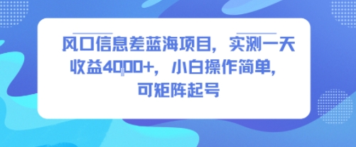 风口信息差蓝海项目，实测一天收益4k+，小白操作简单，可矩阵起号-悟空聊项目