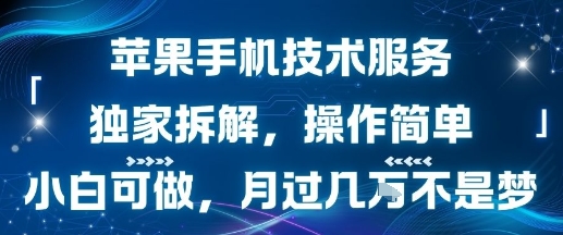 苹果手机技术服务，独家拆解，操作简单，小白可做，月过1W不是梦-悟空聊项目