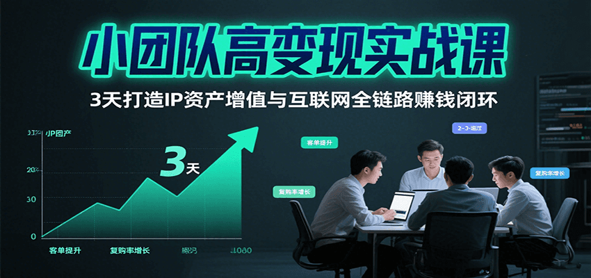 小团队高变现实战课，3天打造IP资产增值与互联网全链路赚钱闭环(第二期)-悟空聊项目