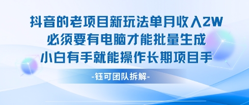 老项目新玩法单月收入2W小白有手就能操作长期项目-悟空聊项目