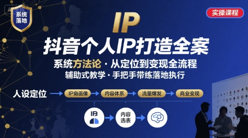 抖音个人IP系统落地实操大课，实操课程，辅助落地-悟空聊项目
