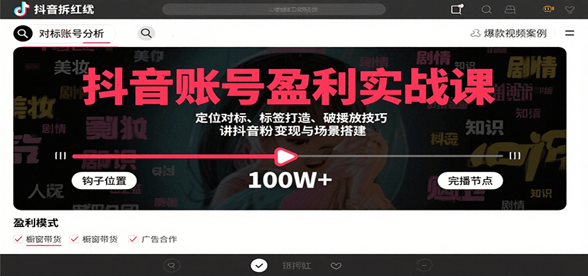 抖音账号盈利实战课，定位对标、标签打造、破播放技巧，讲涨粉变现与场景搭建-悟空聊项目