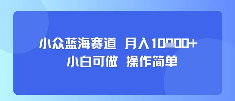 小众蓝海赛道，小白可做，操作简单，每天30分钟，月入1W+-悟空聊项目