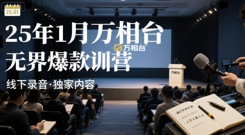 25年1月万相台无界爆款特训营线下录音-悟空聊项目