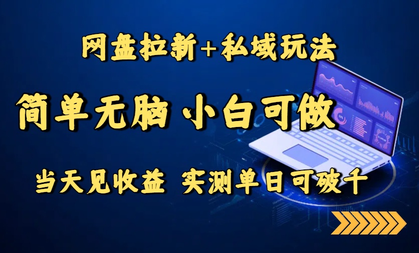 网盘拉新+私域玩法，简单无脑，小白可做，当天见收益，实测单日可破千-悟空聊项目