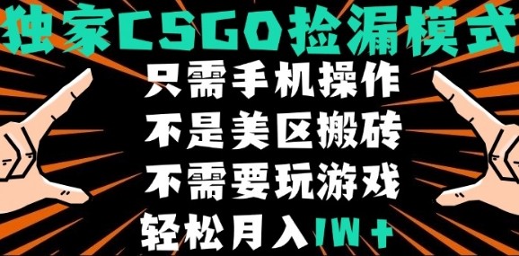 CSGO自动捡漏项目，最新独家玩法，不是美区搬砖，不需要了解和玩游戏，新手小白轻松月入1W+【揭秘】-悟空聊项目