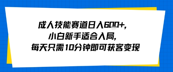 成人技能赛道日入多张，小白新手适合入局，每天只需10分钟即可获客变现-悟空聊项目