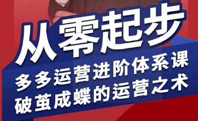 拼多多运营进阶系统课，从零起步，多多运营进阶体系课，破茧成蝶的运营之术-悟空聊项目