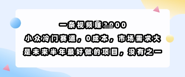 一条视频挣1k，小众冷门赛道，0成本，市场需求大，是未来半年最好做的项目，没有之一-悟空聊项目