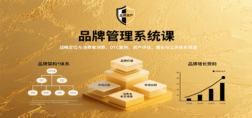 品牌管理系统课：战略定位与消费者洞察，DTC案例、资产评估，增长与公关体系搭建-悟空聊项目
