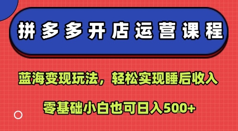 拼多多开店运营课程：蓝海变现玩法，轻松实现睡后收入，零基础小白也可日入5张-悟空聊项目