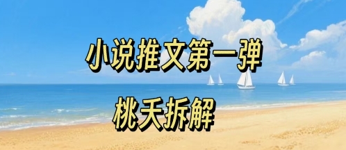 小说推文项目操作全流程第一弹，0粉就能做，门槛低非常适合新手-悟空聊项目